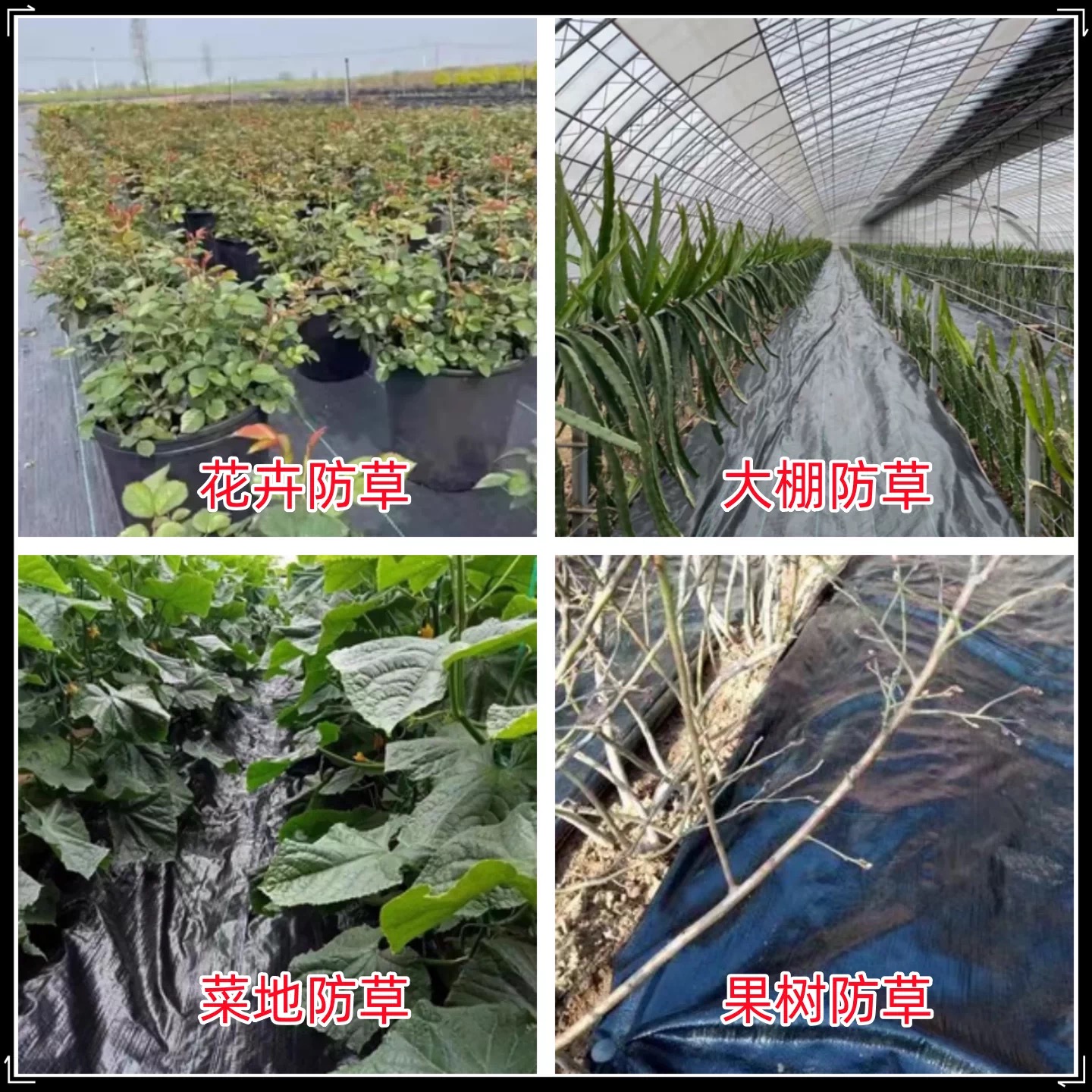 包头市大棚膜防草布 - 推荐