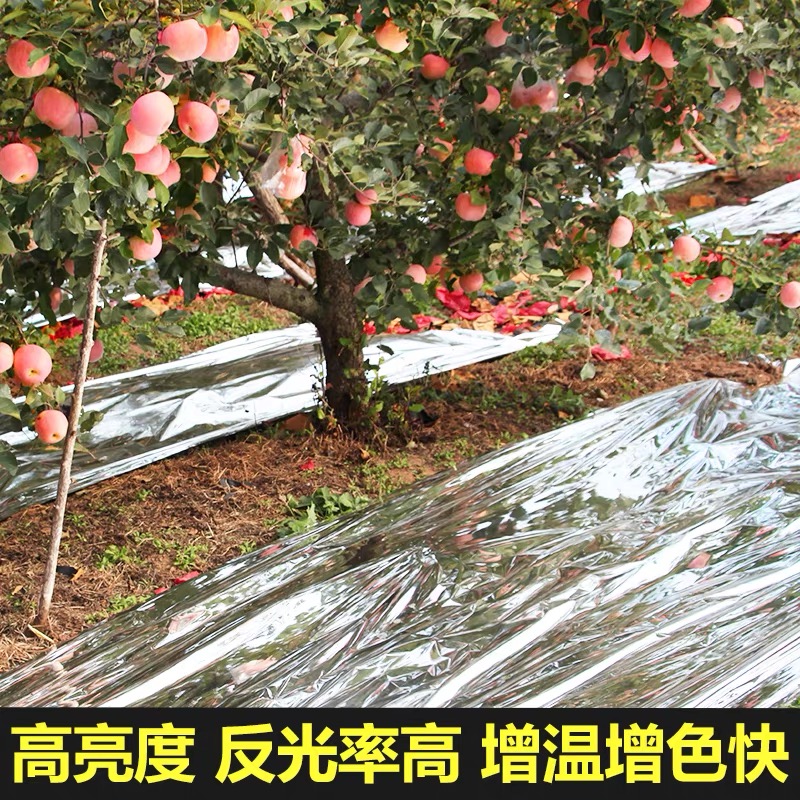 包头市大棚膜果树反光膜 - 厂家